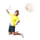 Pinnacle Badminton Court