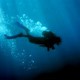 Coral Reef Diving Adventures – Florida’S Finest Scuba Diving Experience