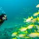 Diver City