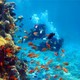 Lake County Divers Supply - Scuba Training ﹠ Kayak Rentals