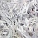 Ams Shredding & Recycling Srvcs