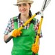 Austin Tree Experts
