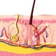 Nutricionista